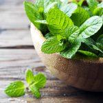 Menta