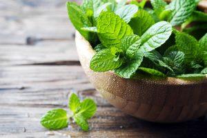 Menta